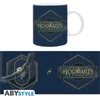 HARRY POTTER - bögre - 320 ml - Hogwarts Legacy Logo