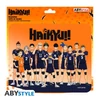 HAIKYU!! - Flexi egérpad - Karasuno Team