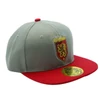 Kép 1/3 - HARRY POTTER Gryffindor snapback Griffendél állítható sapka