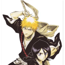 Bleach