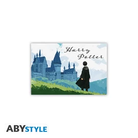 HARRY POTTER - Standard Mágnes - Harry & Hogwarts
