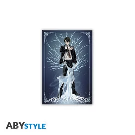 HARRY POTTER - Standard Mágnes - Harry Patronus