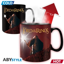 LORD OF THE RINGS - Hőre változó bögre - 460 ml - You shall not pass