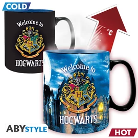 HARRY POTTER - Hőre változó bögre - 460 ml - Letter - cardboard