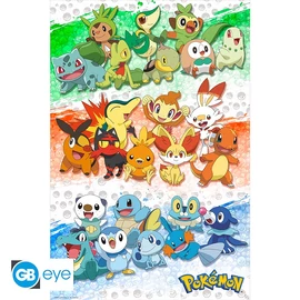 POKEMON - Poszter Maxi 91.5x61 - First Partners