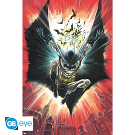 DC COMICS - Poszter Maxi 91.5x61 - Batman - Warner 100th