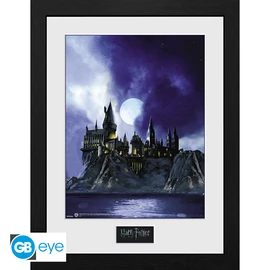 HARRY POTTER - Keretezett nyomat "Hogwarts Painted" (30x40)