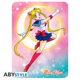 SAILOR MOON fém plakát