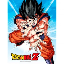 Dragon Ball Z Goku Kame üvegkép