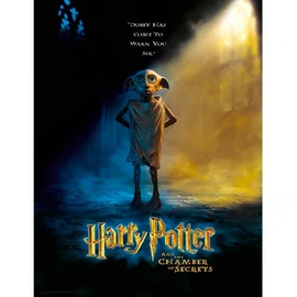 Harry Potter Dobby üvegposzter