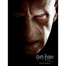 Harry Potter Voldemort arc üvegposzter