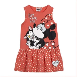 Disney Minnie ruha