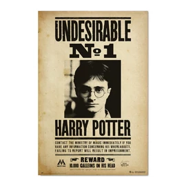 Harry Potter „Undesirable No. 1 poszter"