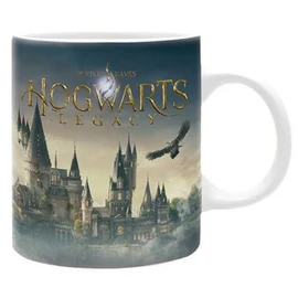 Abysse Harry Potter Hogwarts Legacy Bögre 320ml