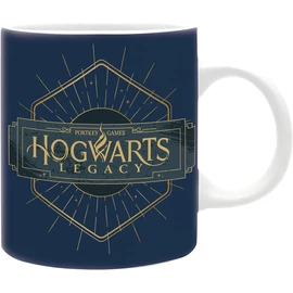Abysse Harry Potter Hogwarts Legacy Bögre 320ml