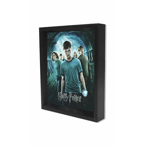 Harry Potter Team Lenticular 3D keretezett hologram kép