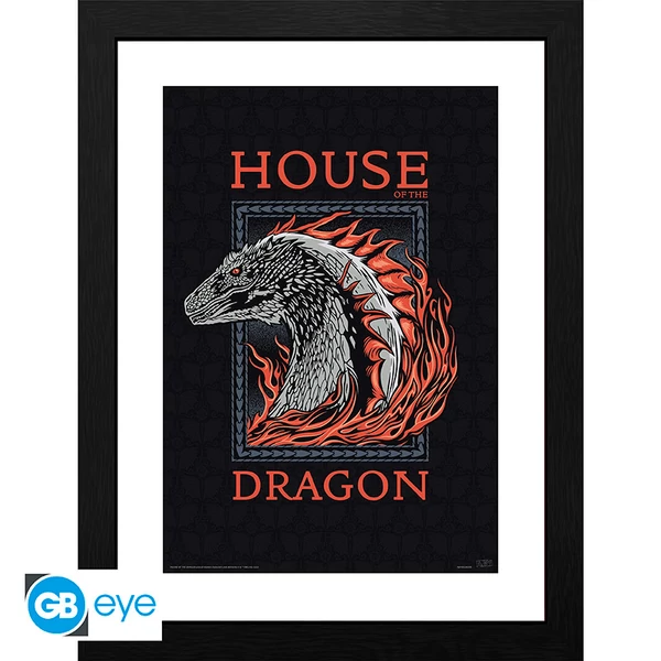 HOUSE OF THE DRAGON - Keretezett nyomat 