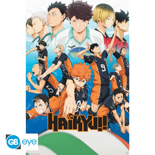 HAIKYU!! - Poszter Maxi 91.5x61 FSC MIX - Key art season 1