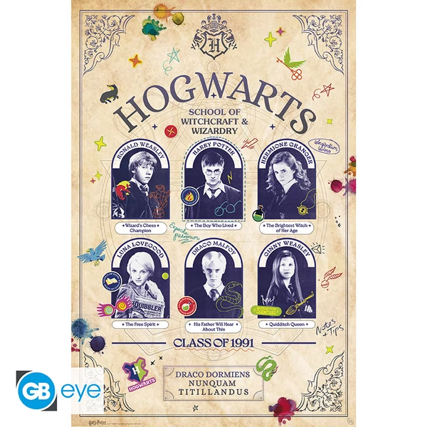 HARRY POTTER - Poszter Maxi 91.5x61 FSC MIX - Student Yearbook