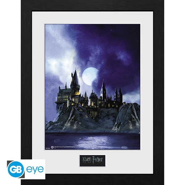 HARRY POTTER - Keretezett nyomat 
