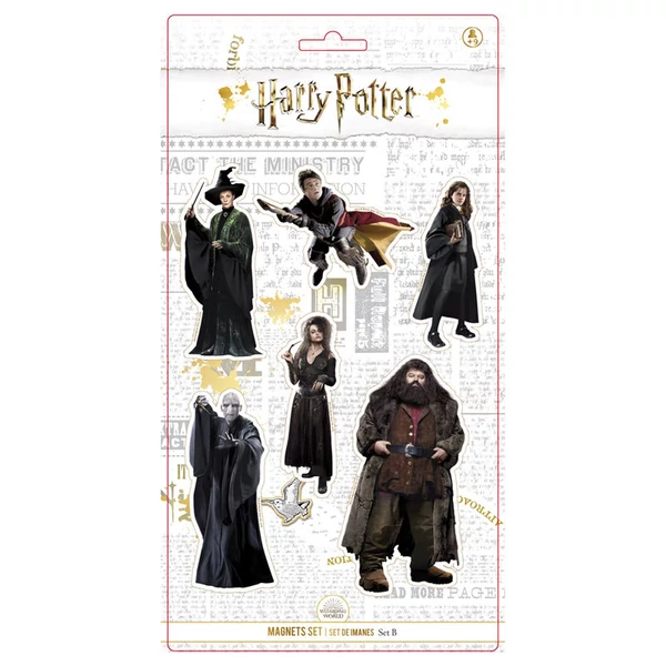 Harry Potter karakterek 6 darabos mágneskészlet