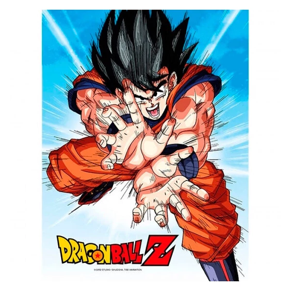 Dragon Ball Z Goku Kame üvegkép
