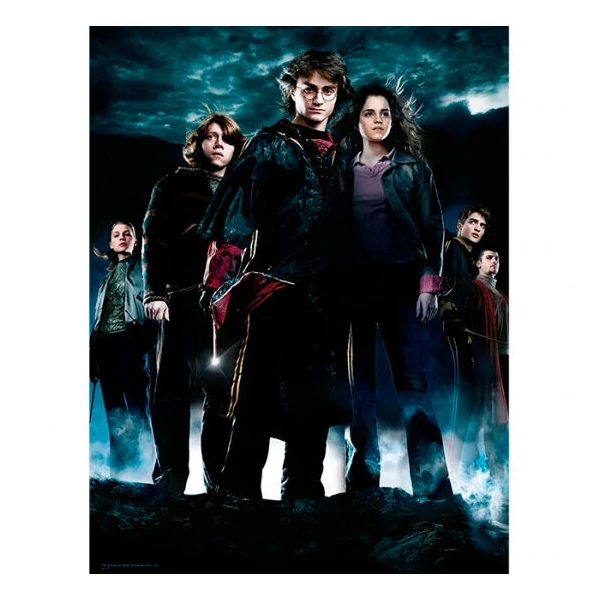 Harry Potter Csoportos üvegposzter