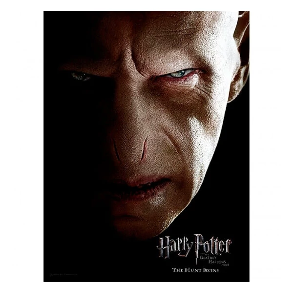 Harry Potter Voldemort arc üvegposzter