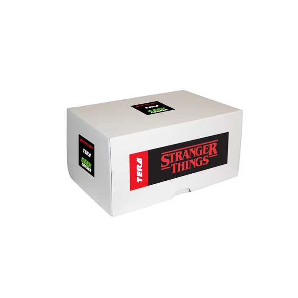 Stranger Things Mysterybox Tera